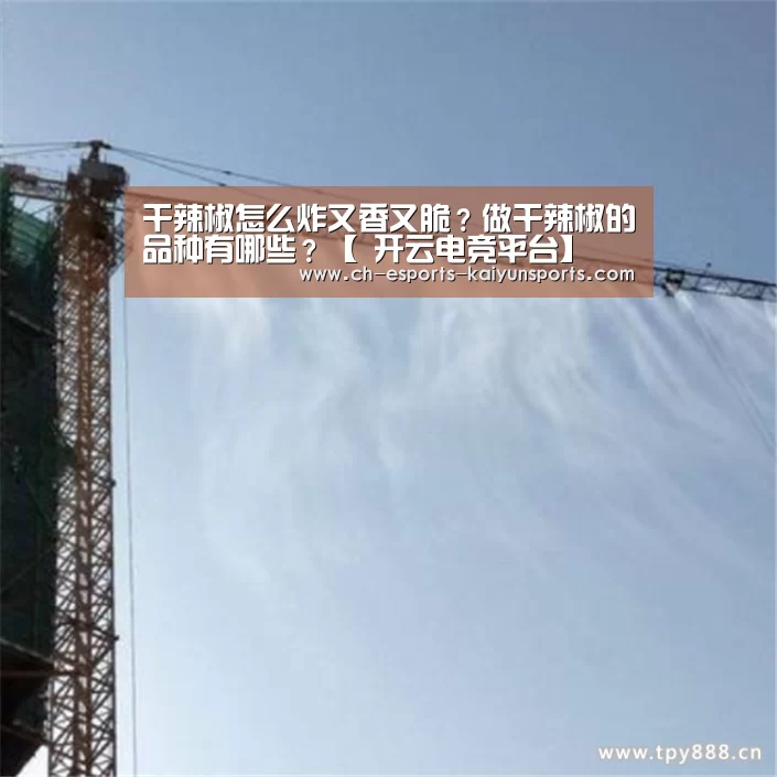 开云电竞