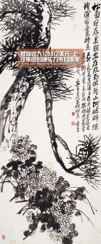  开云电竞官网