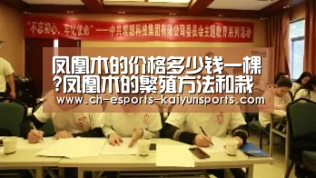  开云电竞官网
