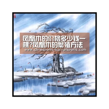  开云电竞平台